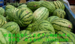 各类网红爆料吃瓜站,吃瓜站背后的热门事件大盘点